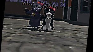 Эдит с Аметисти. | Cat Simulator animal life.
Всех девочек с 8 мартом.♡🌸