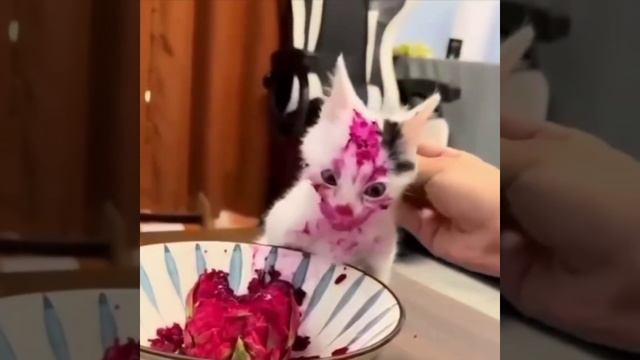 Так вкусно, что аж рот порвал