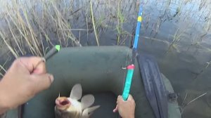 Классная Рыбалка на ПОПЛАВОК