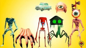 Сибири сиреноголоува правильно Siren hed