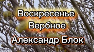 Воскресенье вербное, красивая песня, стихи Александр Блок. 5 апреля Вербное Воскресенье