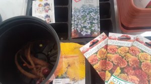 08.03.2026  Новый пион и орхидея. И все-таки сею все оставшиеся томаты и немного цветов.