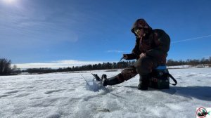 Безмотылка. Жерлицы. 08.03.2026.