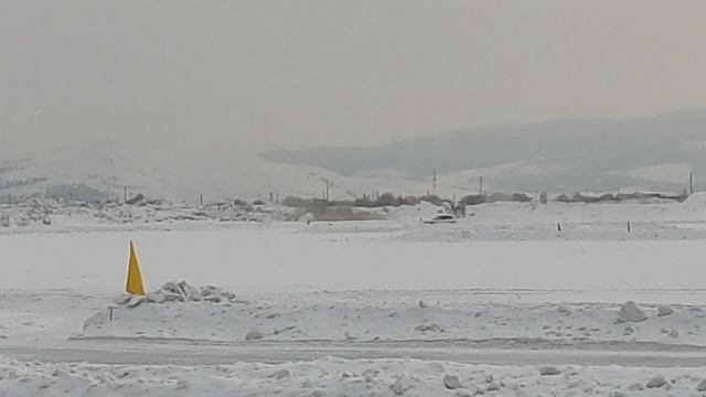 Мишки против Бриджей