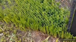 Проект_04-28_Full_HD_1080p_MEDIUM_FR30.mp4