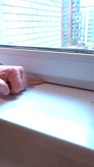 Земсдизайн — сила! #земстандарт #земсдизайн #ремонт #ремонтквартиры #дизайнинтерьера