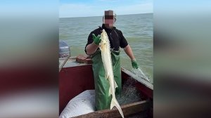 Когда Ты Пахарь На Рыбалке и Прет Сазан - Рыбалки в Дагестане