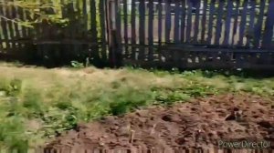 Проект_05-07_Full_HD_1080p_MEDIUM_FR30.mp4