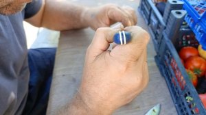 Фиолетовый томат,Черничный 🫐 шербет 2025.