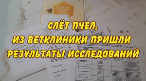пчеловодство, слет пчел, пришли результаты анализов видео 2022