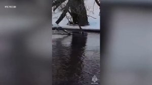 Спасатели ведут масштабные поиски троих детей, которые пропали в Звенигороде