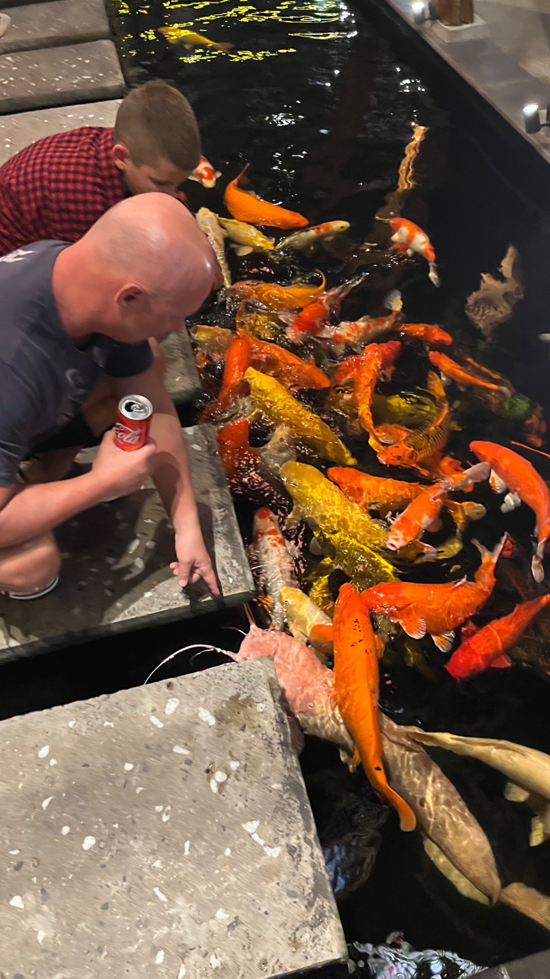 Карпы Кои #карп #рыбы