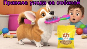 Обучающий мультфильм для детей | Правила ухода за собакой🐶🤗