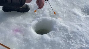 Немного поимок с водоема