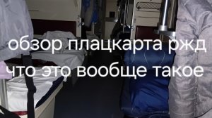 обзор плацкартного вагона