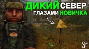 ДИКИЙ СЕВЕР - ГЛАЗАМИ НОВИЧКА! | РЫЖИЙ ЛЕС, НОВЫЕ АРТЕФАКТЫ, СОВЕТЫ | STALCRAFT: X | Дневник ЦА №61