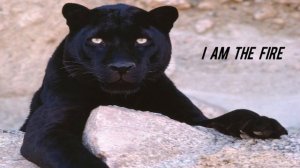 Halestorm - I Am The Fire