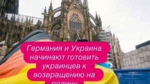 В чем разница между украинцами и сирийцами в Европе. #новости #беженцыизукраины
