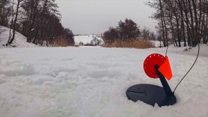 ВЫСТАВИЛ ЖЕРЛИЦЫ В НОВОМ ДЛЯ СЕБЯ МЕСТЕ, БУДЕТ ЛИ РЕЗУЛЬТАТ!? РЫБАЛКА НА ЖЕРЛИЦЫ В МАРТЕ | Рыбалка