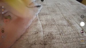 показываю мелкие игрушки