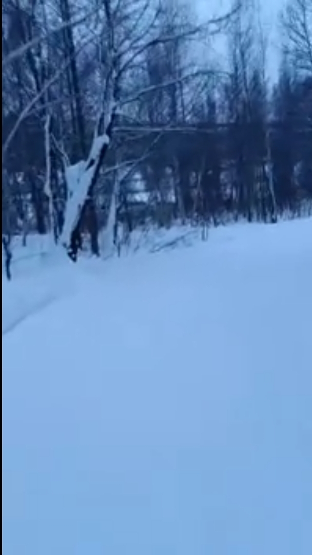 Спуск под мост.Конец зимы