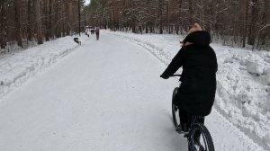 заельцовский парк 2026