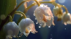 С 8 марта. С праздником весенним. Международный женский день. Музыкальная открытка. Март 2026