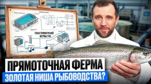 Идеальный Бизнес, НО НЕ ВСЕМ так Повезет... Что такое Прямоточная ферма УЗВ и как она Работает?