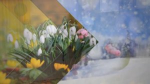 "ЛАСТОЧКА" (Е.Крылатов,И.Шаферан) - поёт Серафима МАСЛЕННИКОВА