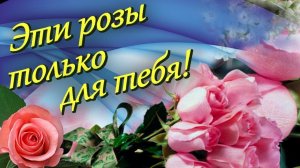 ***ЭТИ РОЗЫ ТОЛЬКО ДЛЯ ТЕБЯ***