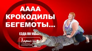 Зелёный попугай _ Разговоры с коллекторами