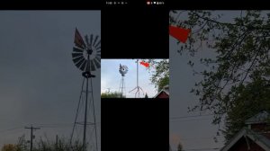 топ 5 разных сиреноголовых