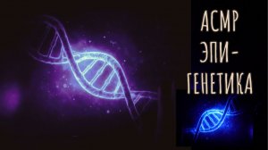 Как оставаться молодым и здоровым - Эпигенетика - АСМР