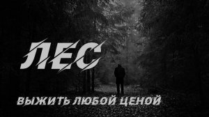 Лес. Выжить любой ценой. Страшные истории на ночь. Мистика. Страшилки на ночь.
