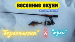 #мормышинг | Весенние окуни | Ловля спиннингом на безмотылку и мух |