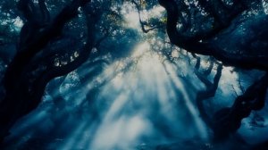 Да, можно любить ненавидя