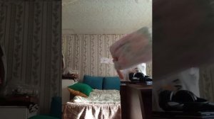 мой вечерний влог, уборка 🧹, 🗒️