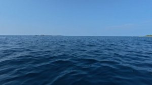 Утро с дельфинами на Мальдивах