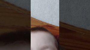 Поговорить