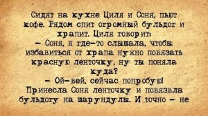 ✡️_Раввин_Заблудился_в_Лесу!_Еврейские_Анекдоты!_Анекдоты_Про_Евреев!