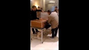 Mago geko Ragazza divisa in due