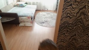 играю с томосам