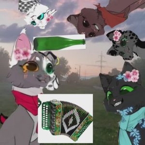 Давайте тренд создадим с этим звуком? Темная Ночь играет на....баяне? Коты Воители #Темная Ночь