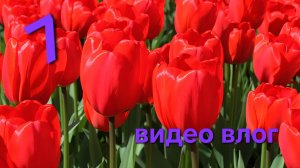 7 серия - видеоВлог - 05.03.26