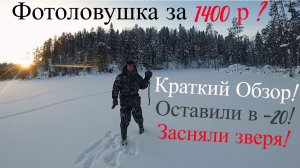 Тест и Обзор Самой Бюджетной Фотоловушки! Оставили на Неделю в Тайге и Засняли Зверя! UHD