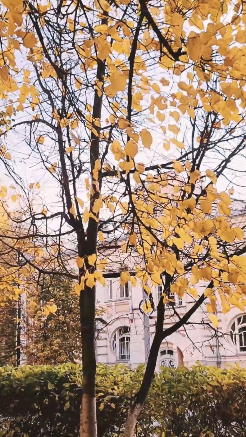 Популярные факты про Томск.mp4