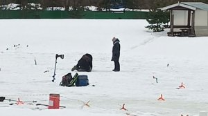 VID_20260308_112420_183