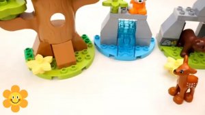 Конструктор Лего со зверюшками, ищут свой новый домик,изучают свой дом для детей.#дети#видеодлядетей