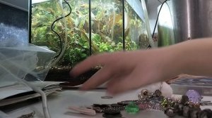 💟рыбы и амуниция 💟описание