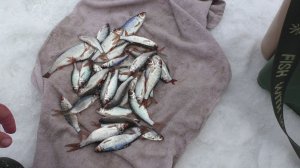 ПЕРВАЯ РЫБАЛКА ВЕСНОЙ 2026. РЫБА ПОКИНУЛА ЭТИ МЕСТА НАВЕРНО НАВСЕГДА.